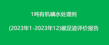 1吨有机磷水处理剂(2023年1-2023年12)碳足迹评价报告